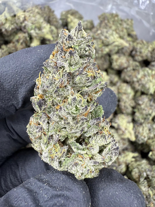 Italian Ice Indoor THCA Flower